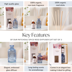 Patchouli Spice Reed Diffuser Gift Set Of 3 Nestasia