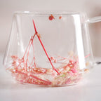 Real Flower Inside Double Wall Glass Cup Set Of 2 180ml Nestasia