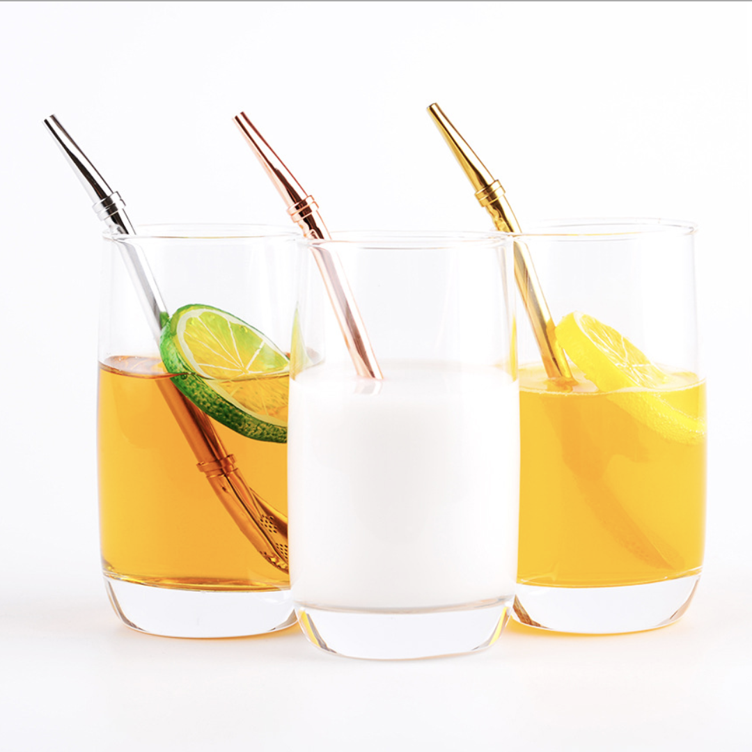 Reusable Straw Nestasia