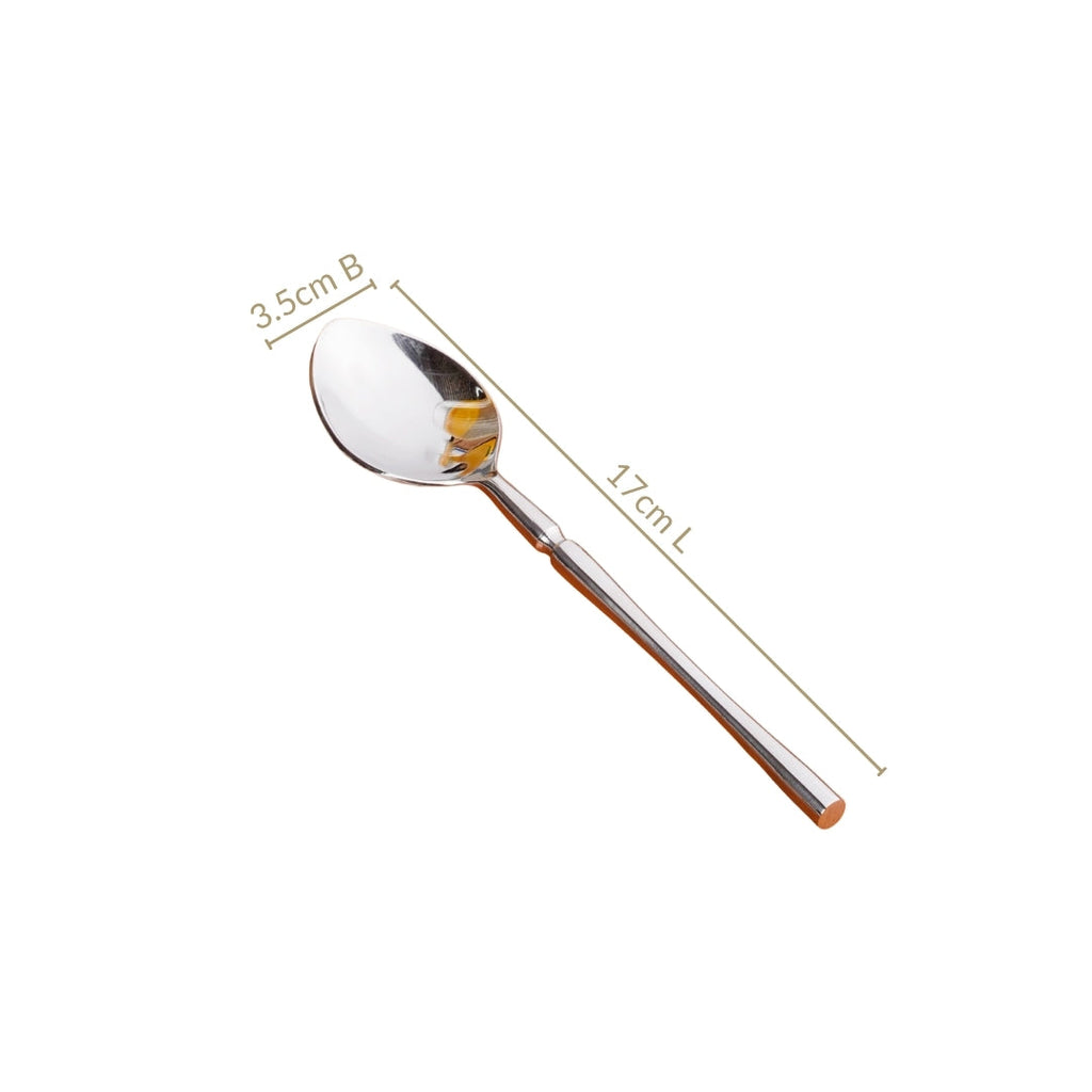 Minimalist Stainless Steel Spoon Set Of 6 Nestasia
