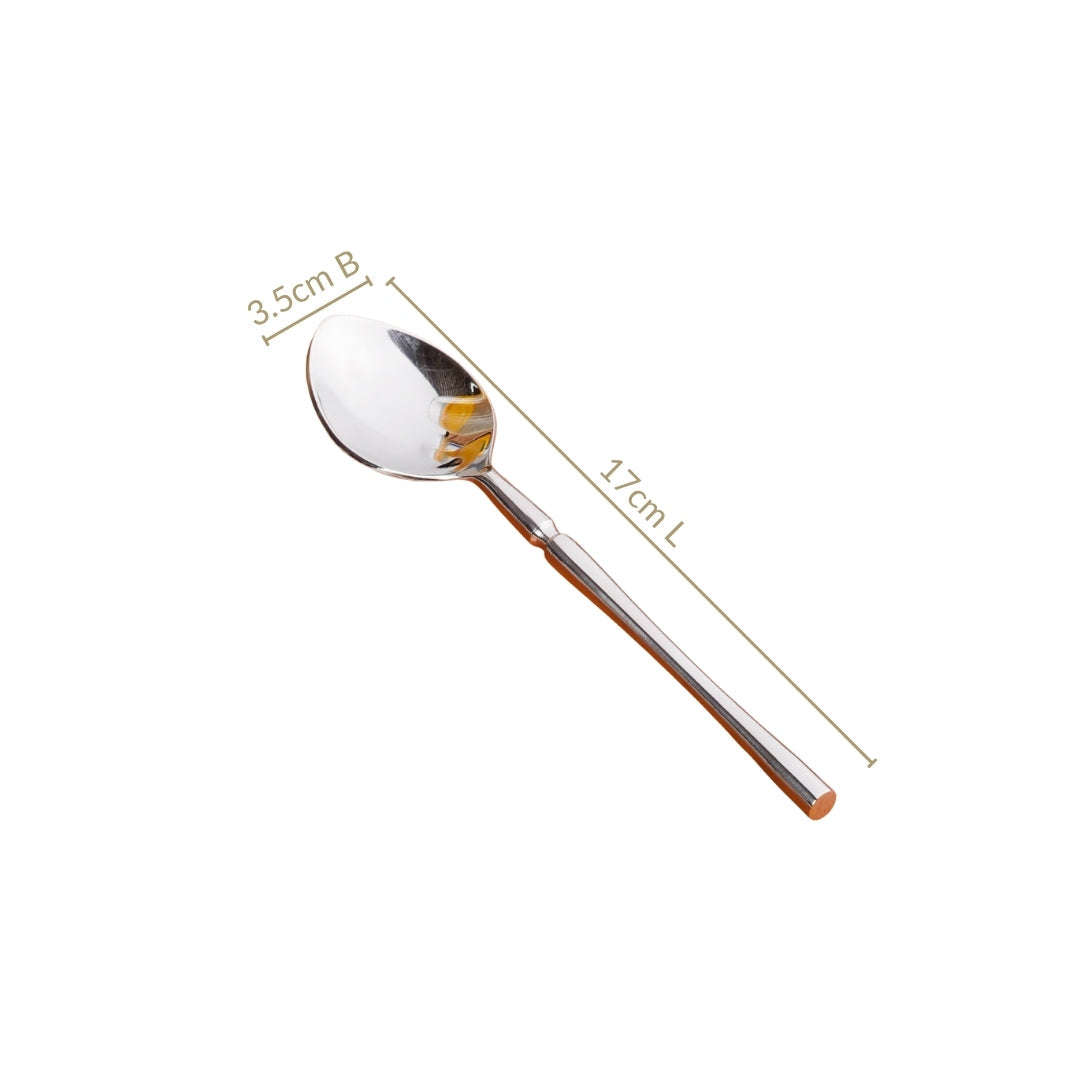 Minimalist Stainless Steel Spoon Set Of 6 Nestasia