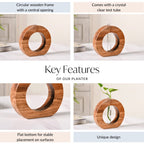 Ring Table Top Test Tube Wooden Vase Nestasia