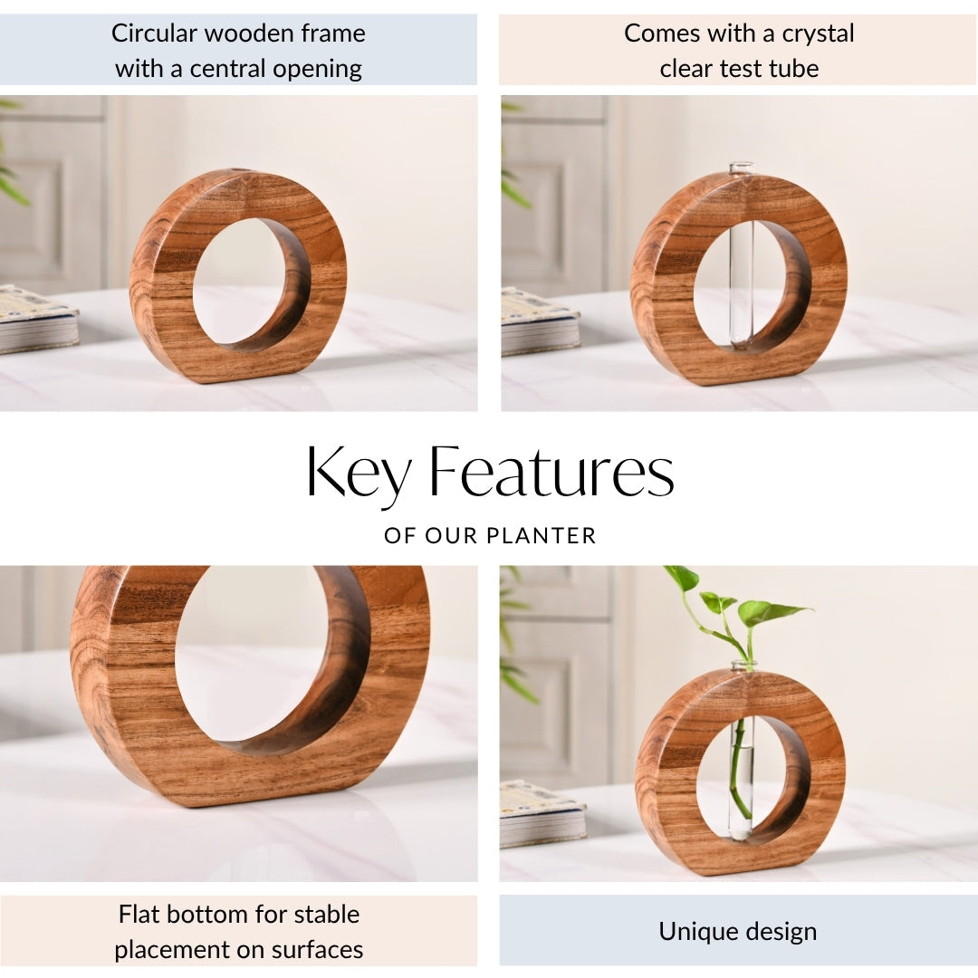 Ring Table Top Test Tube Wooden Vase Nestasia