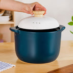 Cera Ceramic Soup Cooking Pot With White Lid 6000ml Nestasia