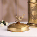 Brass Embossed Design Jar with leaf knob on lid, Brass Decorative Storage Box Vedansh Craft