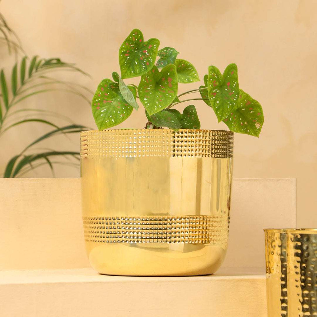 Brass Bucket Planter Pot (9 Inch) Vedansh Craft
