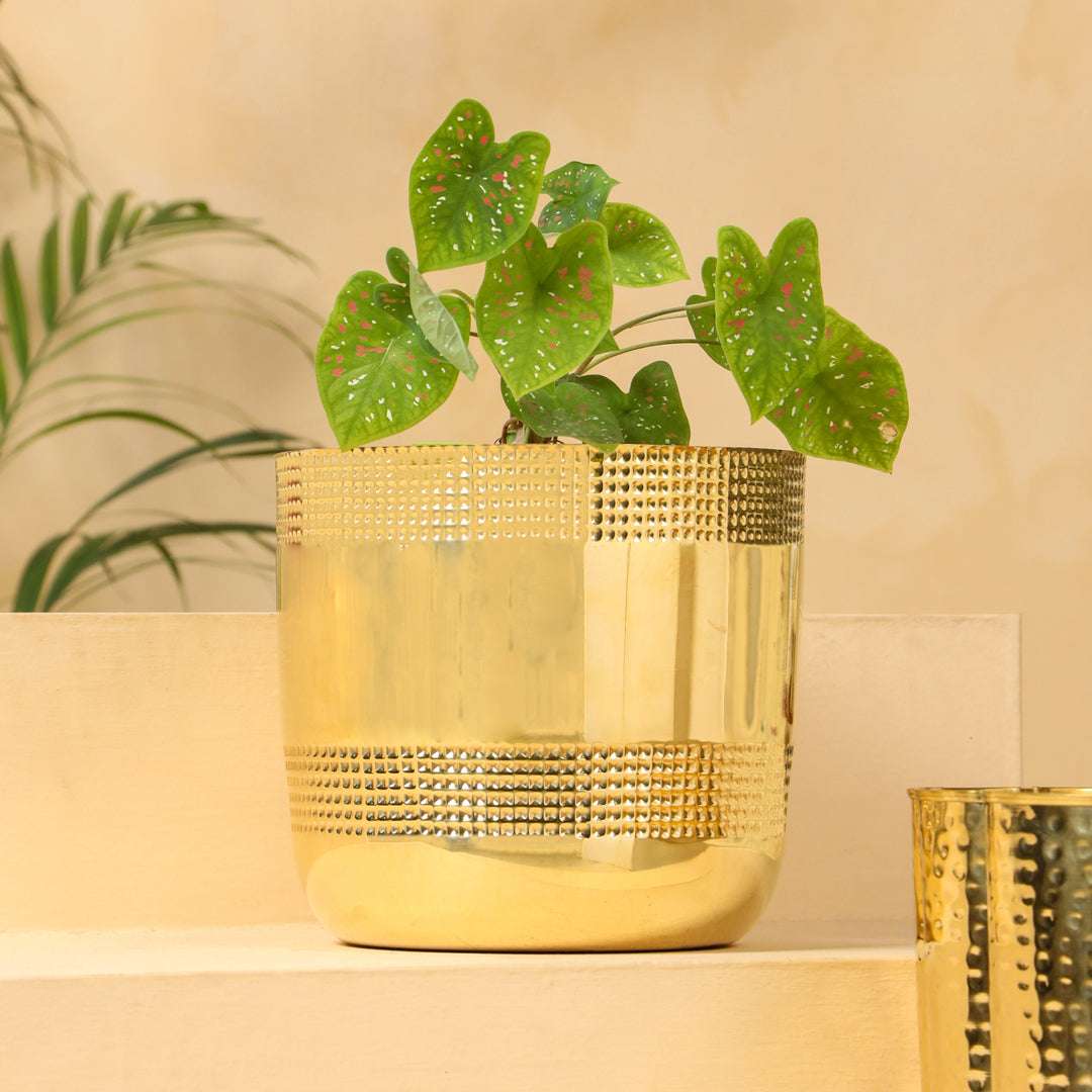 Brass Bucket Planter Pot (9 Inch) Vedansh Craft