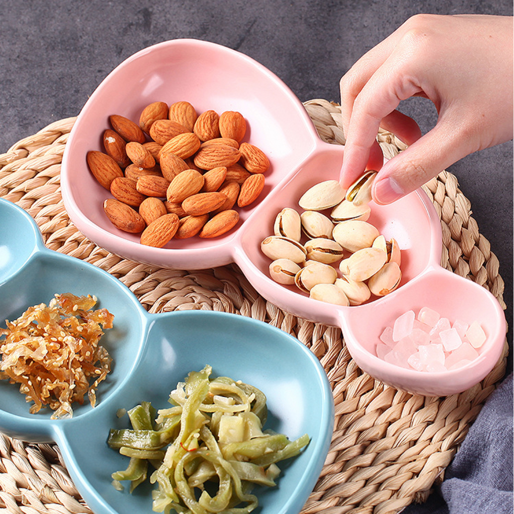 Sectioned Dish Nestasia