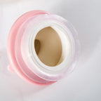 Set Of 2 Pink Bird Ceramic Lid Glass Storage Jar 1000ml Nestasia