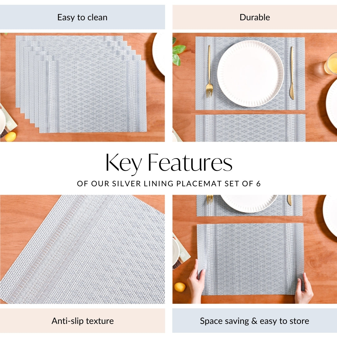 Silver Lining Placemat Set Of 6 Nestasia