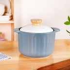 Homebrew Ceramic Stock Cooking Pot 3700ml Nestasia