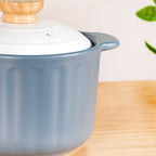 Homebrew Ceramic Stock Cooking Pot 3700ml Nestasia