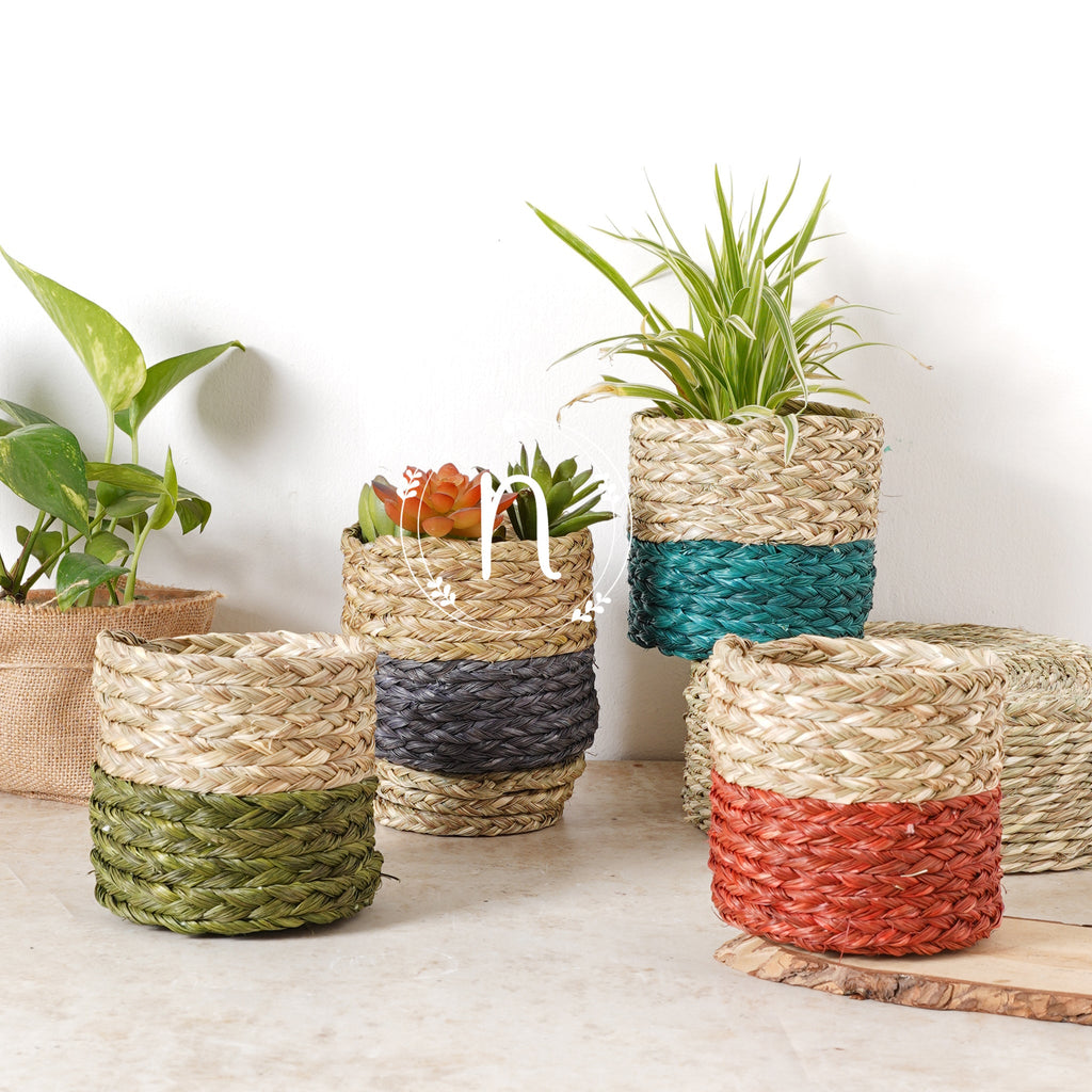 Small Planter Basket Nestasia