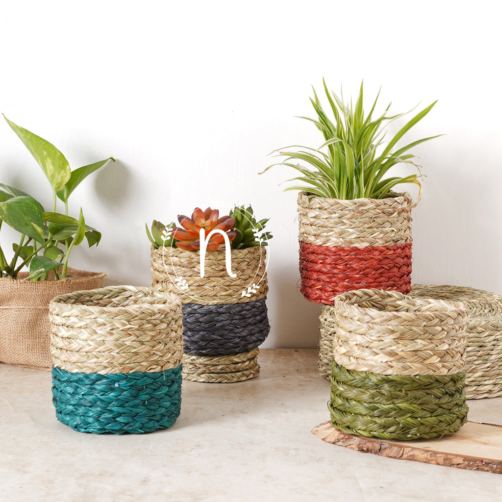 Small Planter Basket Nestasia