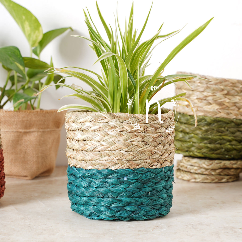 Small Planter Basket Nestasia
