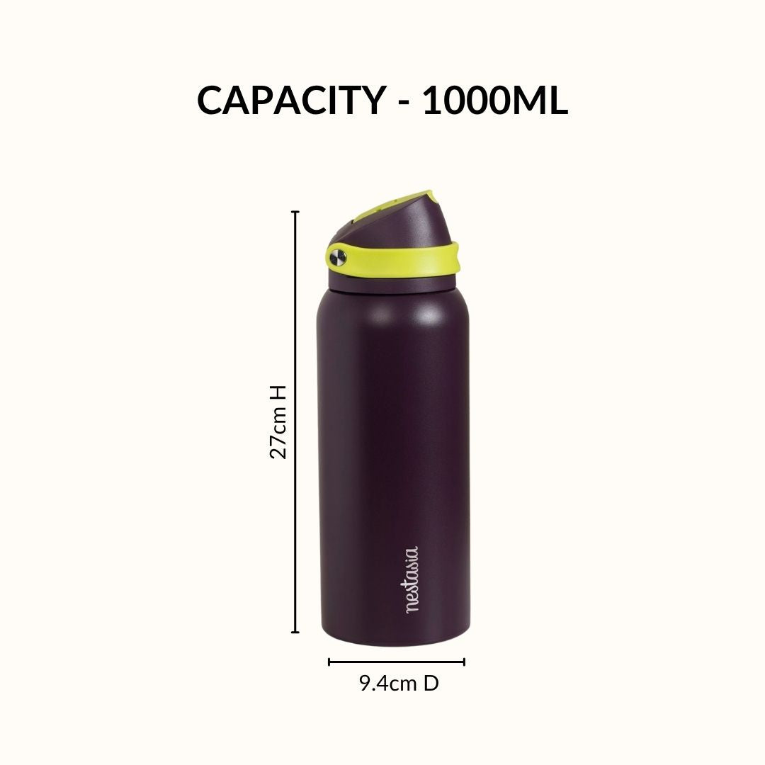 SnapSip Tumbler With Top Handle Plum Zest 1000ml Nestasia