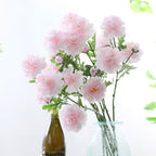 Snow Lotus Nestasia
