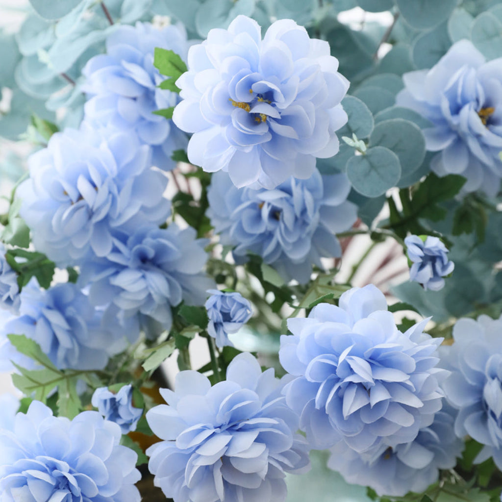 Snow Lotus Nestasia