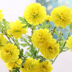 Snow Lotus Nestasia