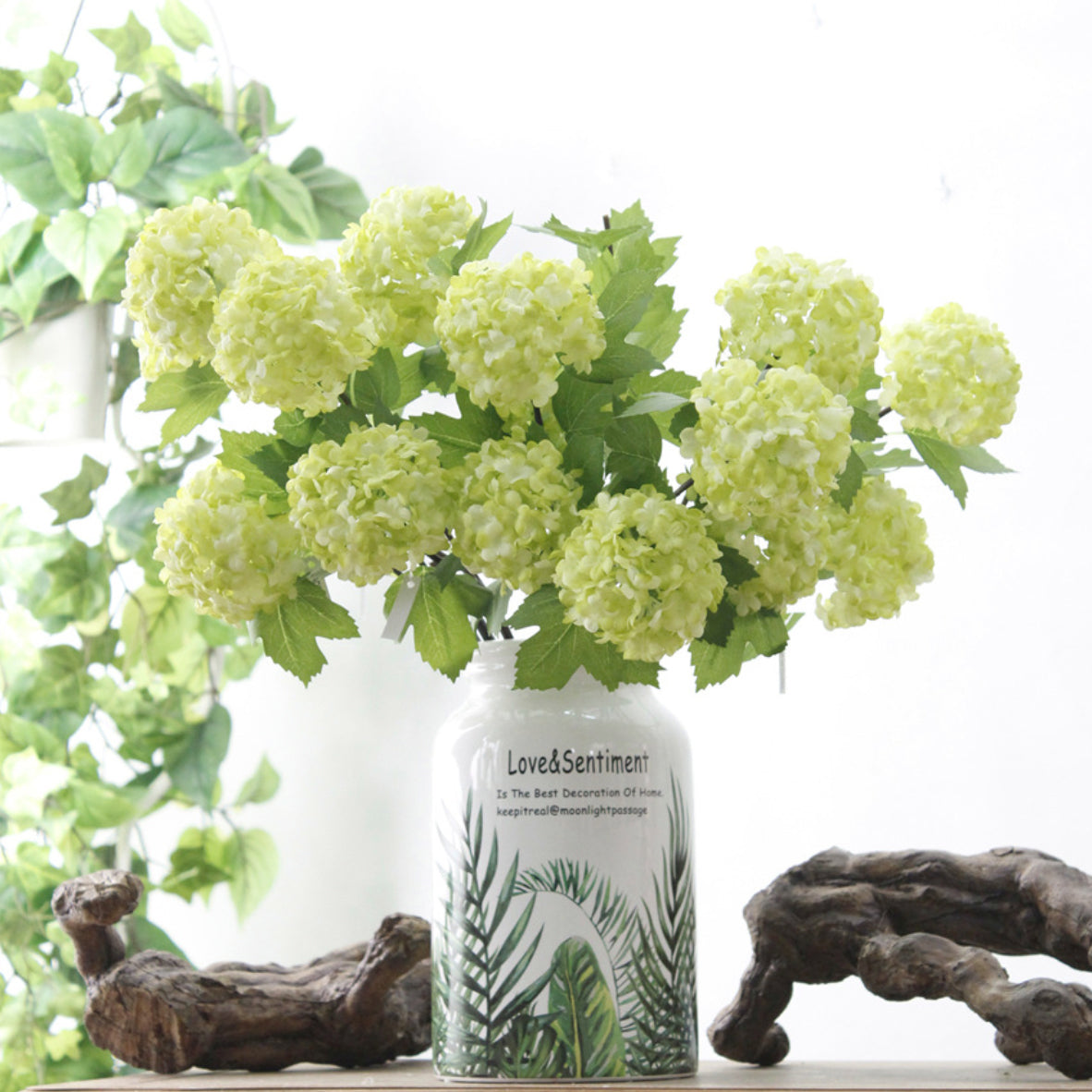 Snowball flower Nestasia