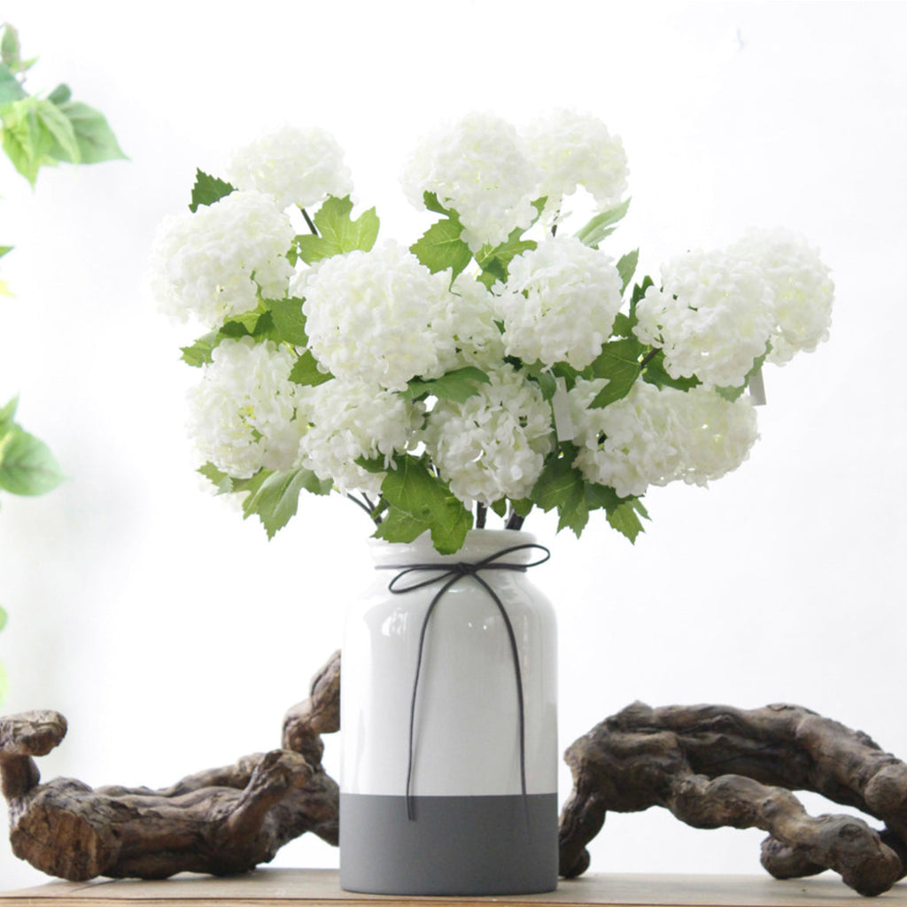 Snowball flower Nestasia