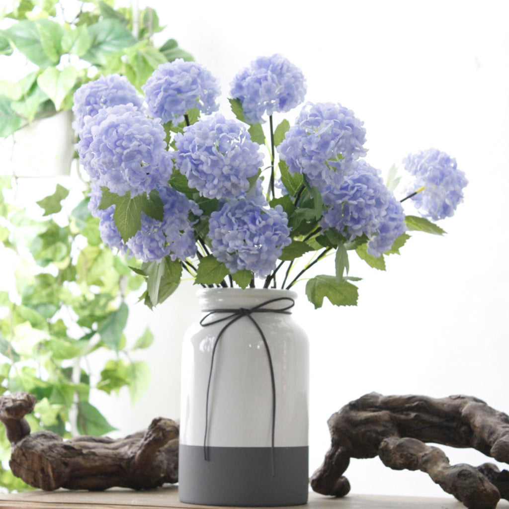 Snowball flower Nestasia
