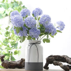 Snowball flower Nestasia