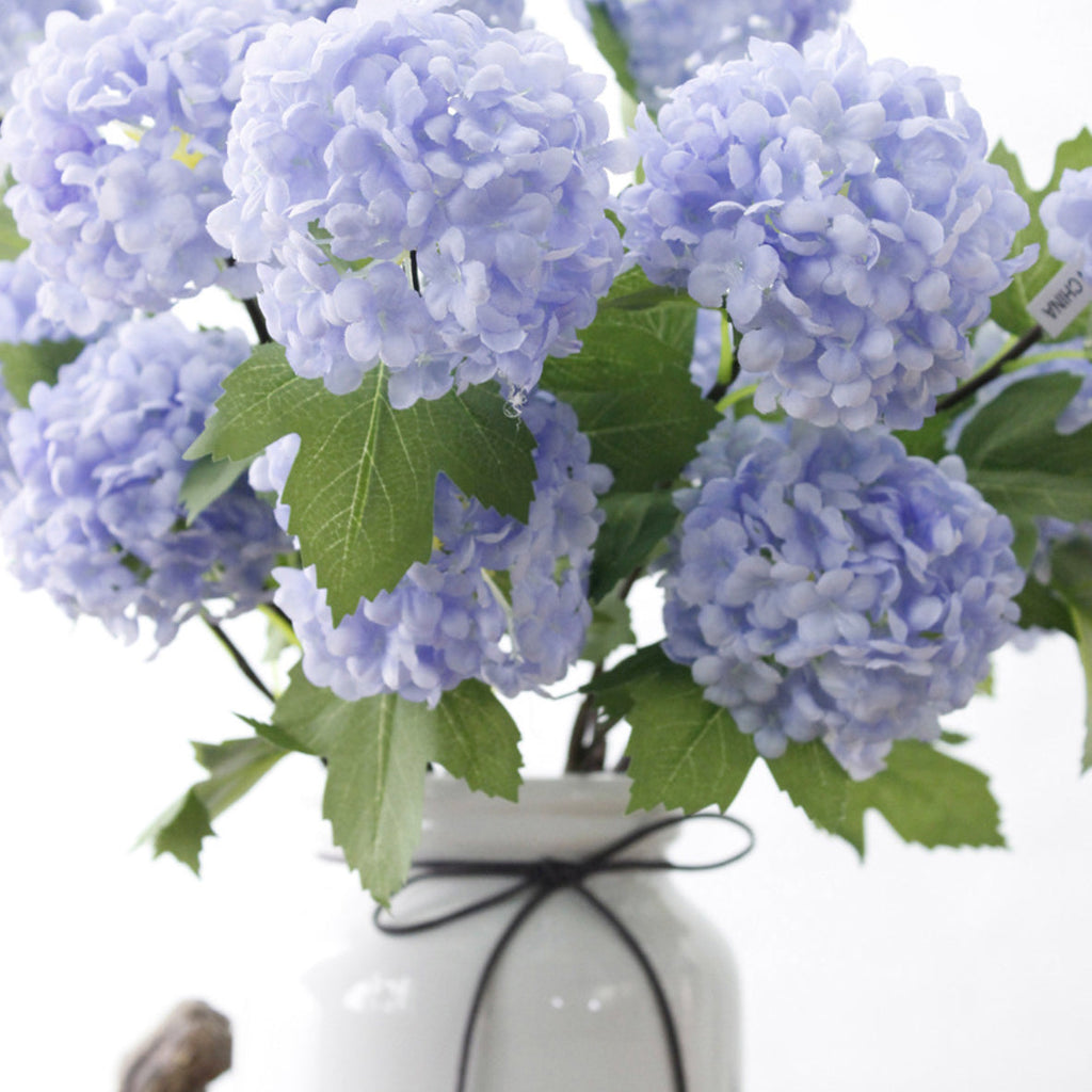 Snowball flower Nestasia