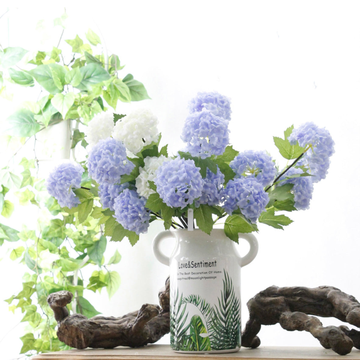 Snowball flower Nestasia