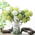 Snowball flower Nestasia