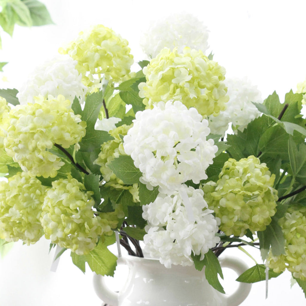 Snowball flower Nestasia