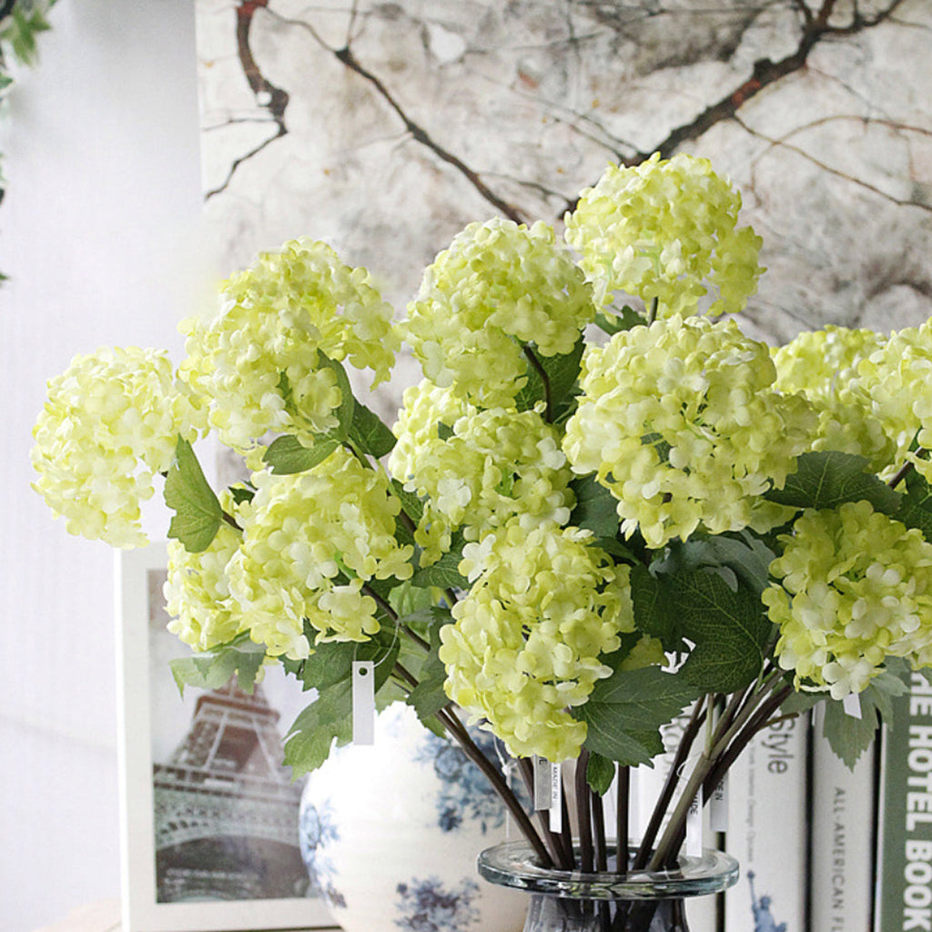 Snowball flower Nestasia