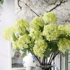 Snowball flower Nestasia