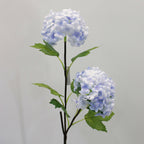 Snowball flower Nestasia