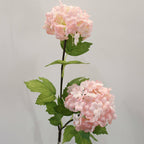 Snowball flower Nestasia