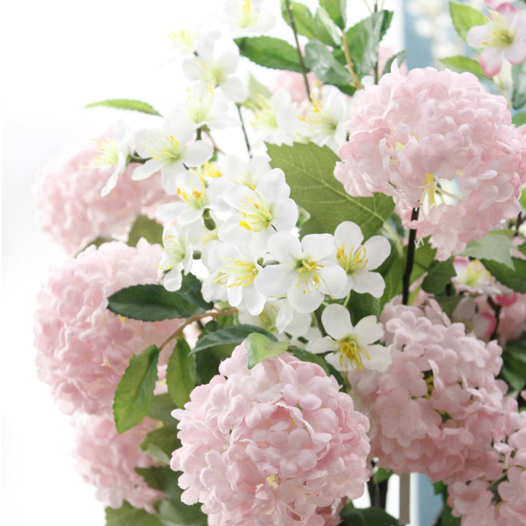 Snowball flower Nestasia