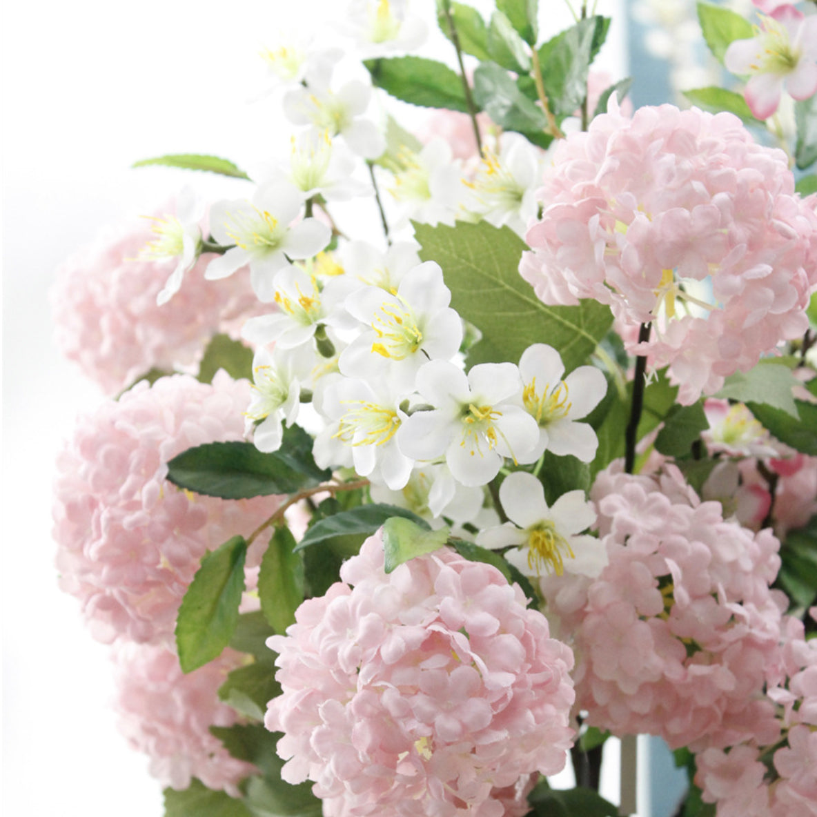 Snowball flower Nestasia