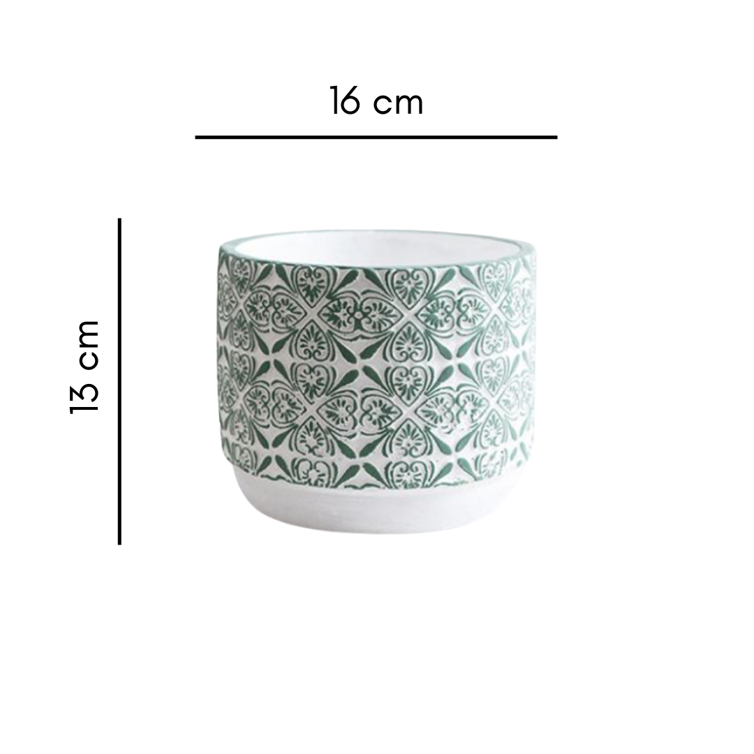 Lush Green Pot Small Nestasia