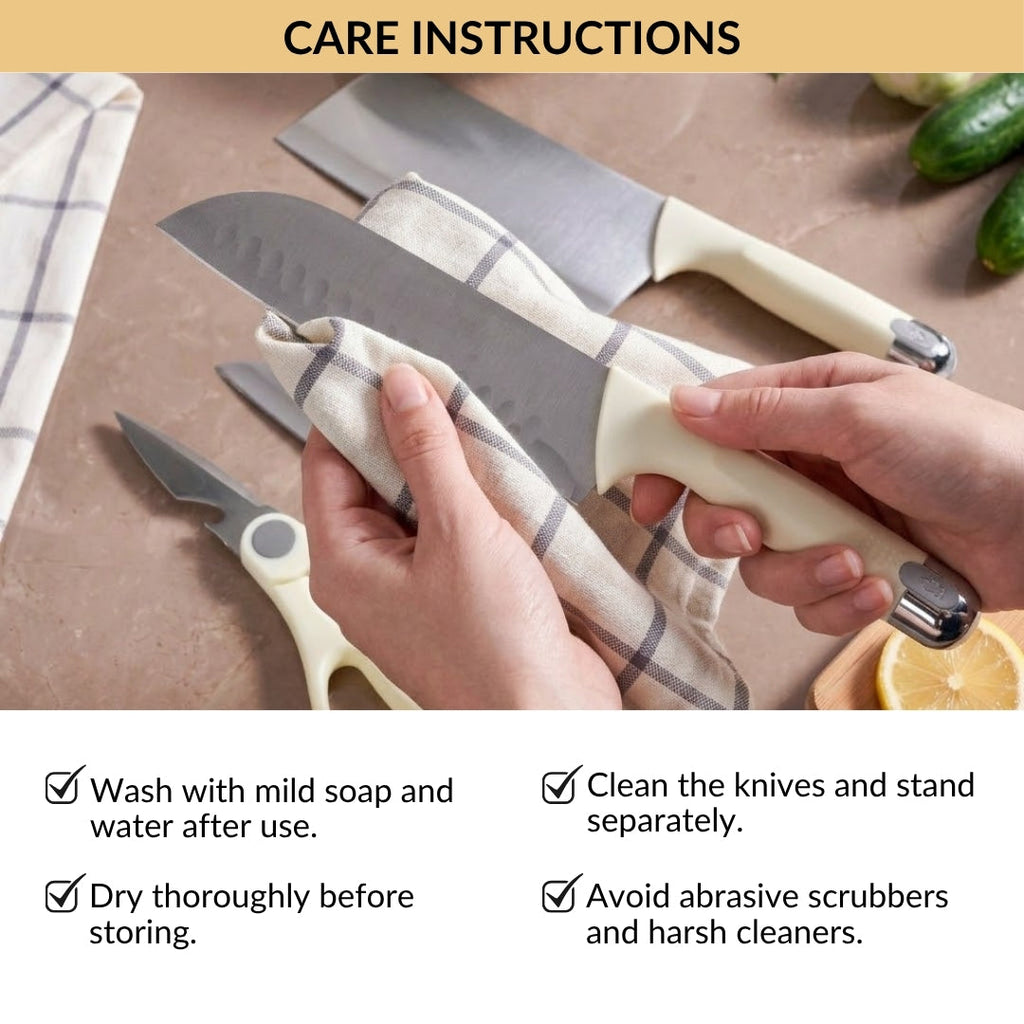 Stainless Steel Chef Knife Set With Holder Set Of 5 Nestasia