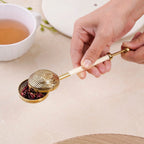 Aroma Stainless Steel Tea Infuser With Push Handle 11x6cm Nestasia