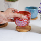 Succulent Pots Nestasia