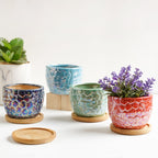 Succulent Pots Nestasia