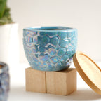 Succulent Pots Nestasia
