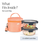 Tangerine Gingham Insulated Lunch Bag Nestasia