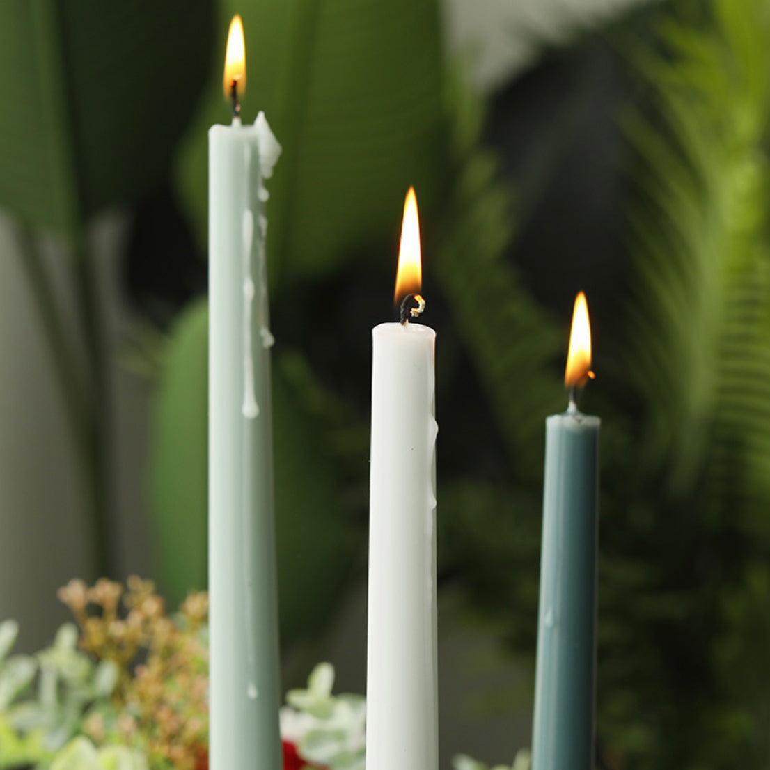 Taper Candles Nestasia
