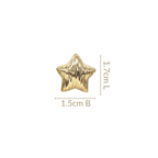 Textured Star Studs Nestasia