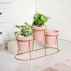 TerraTier Three In One Planter Set With Stand Pink Nestasia