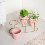TerraTier Three In One Planter Set With Stand Pink Nestasia