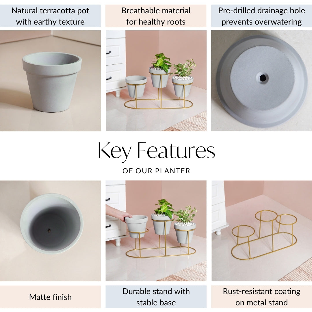 TerraTier Indoor Planter With Stand Grey Nestasia