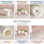 TerraTier Gold Stand With Three White Planters Off White Nestasia